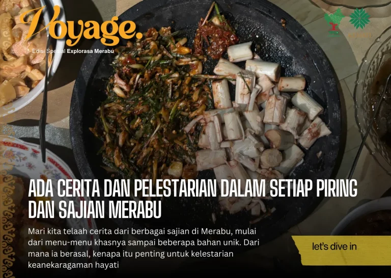 Ada Cerita Dan Pelestarian Dalam Setiap Piring Dan Sajian Merabu